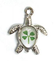 White Gold Plated Wise Turtle Clover