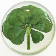 10 Leaf Clover