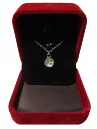 White Gold Plated Small Circle